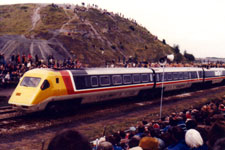 &copy; Leslie Dutton