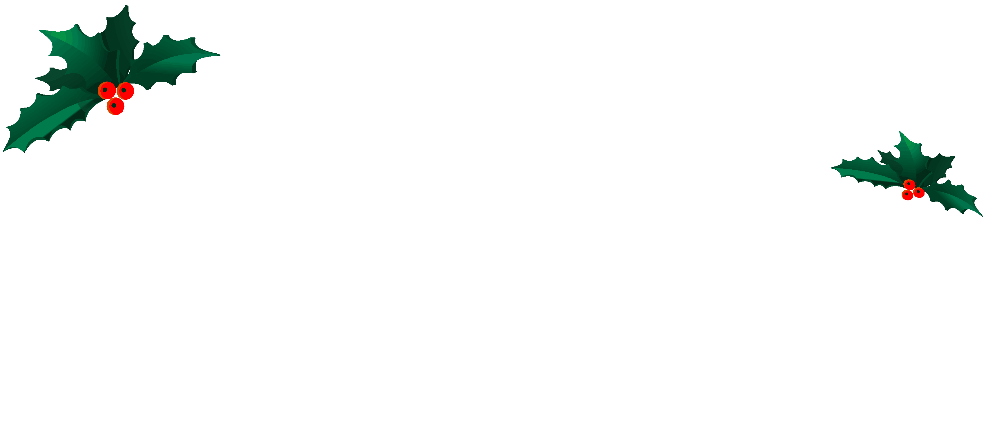 www.APT-P.com