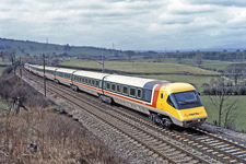 &copy; Peter Robinson