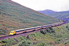 &copy; Peter Robinson