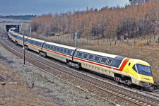 &copy; Peter Robinson